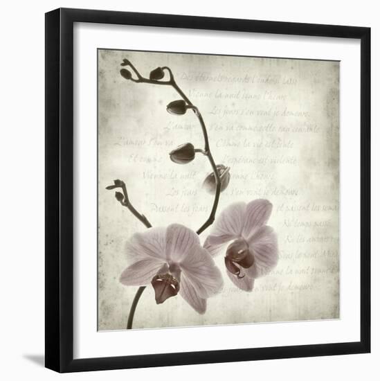 Retro Orchid-null-Framed Art Print