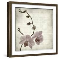 Retro Orchid-null-Framed Art Print