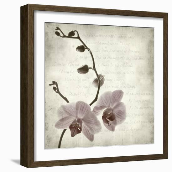 Retro Orchid-null-Framed Art Print