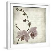 Retro Orchid-null-Framed Art Print