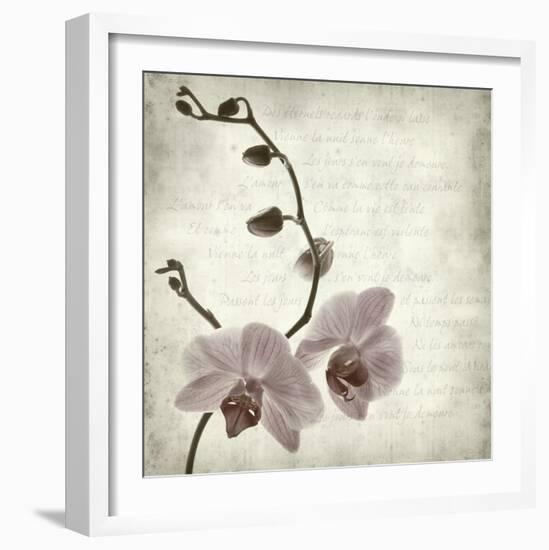 Retro Orchid-null-Framed Art Print