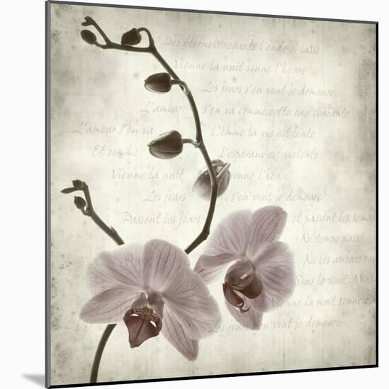 Retro Orchid-null-Mounted Art Print
