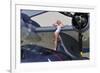 Retro Pin-Up Girl Posing with a World War II Era Pby Catalina Seaplane-null-Framed Photographic Print