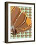 Retro Pitt-Belen Mena-Framed Giclee Print