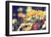 Retro Poppies-Incredi-Framed Giclee Print