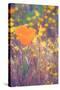 Retro Poppy-Vincent James-Stretched Canvas