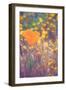 Retro Poppy-Vincent James-Framed Photographic Print