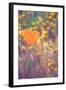 Retro Poppy-Vincent James-Framed Photographic Print