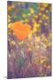 Retro Poppy-Vincent James-Mounted Photographic Print
