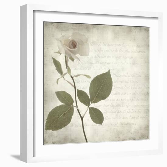 Retro Rose-null-Framed Art Print