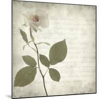 Retro Rose-null-Mounted Art Print