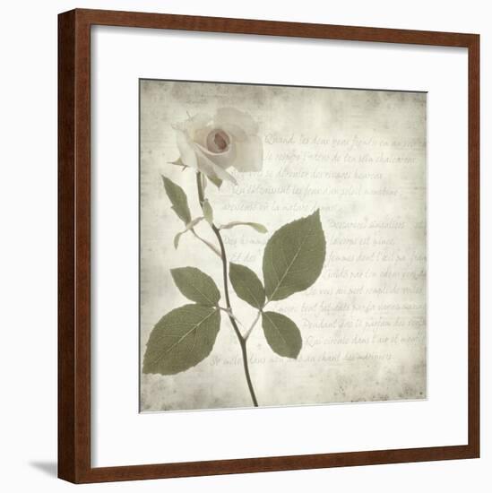 Retro Rose-null-Framed Art Print