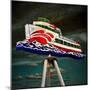 Retro Sign in USA-Salvatore Elia-Mounted Photographic Print