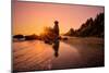 Retro Style Sun Star at Trinidad State Beach-Vincent James-Mounted Photographic Print