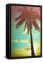 Retro Styled Hawaiian Palm Tree-Mr Doomits-Framed Stretched Canvas