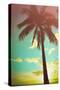 Retro Styled Hawaiian Palm Tree-Mr Doomits-Stretched Canvas