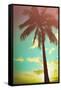 Retro Styled Hawaiian Palm Tree-Mr Doomits-Framed Stretched Canvas