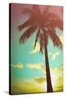 Retro Styled Hawaiian Palm Tree-Mr Doomits-Stretched Canvas
