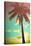 Retro Styled Hawaiian Palm Tree-Mr Doomits-Stretched Canvas