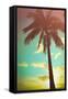 Retro Styled Hawaiian Palm Tree-Mr Doomits-Framed Stretched Canvas