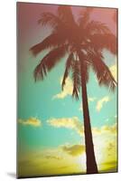 Retro Styled Hawaiian Palm Tree-Mr Doomits-Mounted Photographic Print