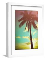 Retro Styled Hawaiian Palm Tree-Mr Doomits-Framed Photographic Print