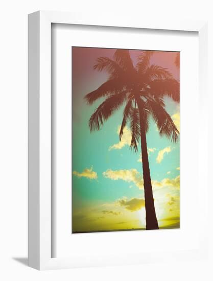 Retro Styled Hawaiian Palm Tree-Mr Doomits-Framed Photographic Print