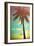 Retro Styled Hawaiian Palm Tree-Mr Doomits-Framed Photographic Print