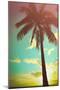 Retro Styled Hawaiian Palm Tree-Mr Doomits-Mounted Photographic Print