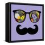 Retro Sunglasses with Reflection for Hipster.-panova-Framed Stretched Canvas