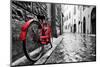 Retro Vintage Red Bike on Cobblestone Street in the Old Town. Color in Black and White. Old Charmin-Michal Bednarek-Mounted Premium Photographic Print