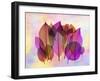 Retroluxed Compostion 2-Albert Koetsier-Framed Art Print