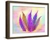 Retroluxed Fern-Albert Koetsier-Framed Art Print