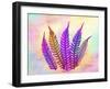 Retroluxed Fern-Albert Koetsier-Framed Art Print