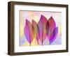 Retroluxed Magnoli-Albert Koetsier-Framed Premium Giclee Print