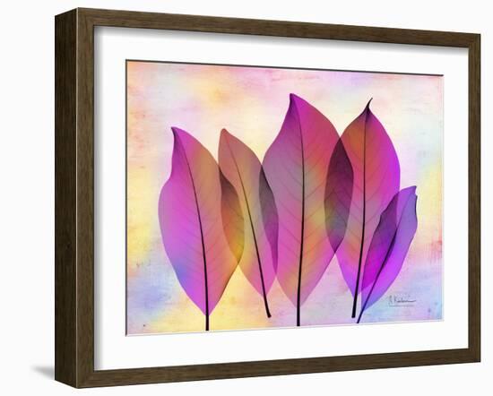 Retroluxed Magnoli-Albert Koetsier-Framed Art Print