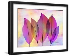 Retroluxed Magnoli-Albert Koetsier-Framed Art Print