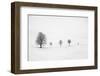 return as always-Peter Svoboda, MQEP-Framed Photographic Print