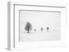 return as always-Peter Svoboda, MQEP-Framed Photographic Print