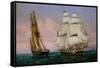 Return from Elba, circa 1852-Louis Garneray-Framed Stretched Canvas