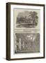 Return of the Court to Windsor Castle-null-Framed Giclee Print