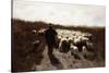 Return of the Flock-Anton Mauve-Stretched Canvas