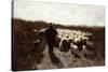Return of the Flock-Anton Mauve-Stretched Canvas