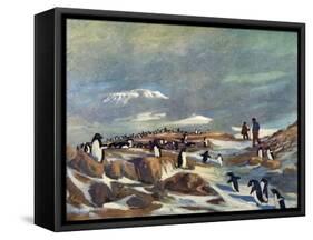 'Return of the Penguins', c1908, (1909)-George Marston-Framed Stretched Canvas