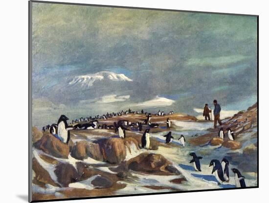 'Return of the Penguins', c1908, (1909)-George Marston-Mounted Giclee Print