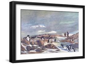 Return of the Penguins-G Marston-Framed Art Print