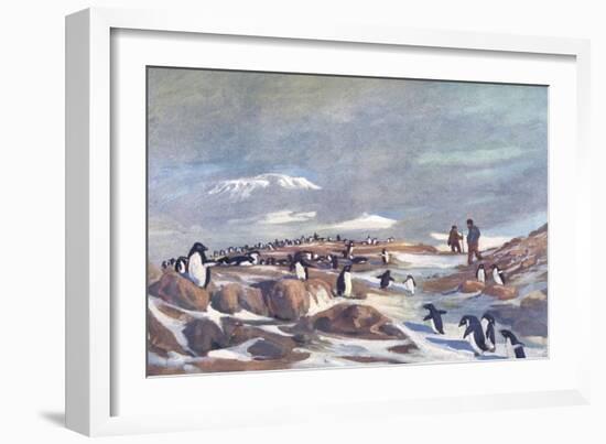 Return of the Penguins-G Marston-Framed Art Print