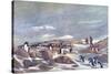 Return of the Penguins-G Marston-Stretched Canvas