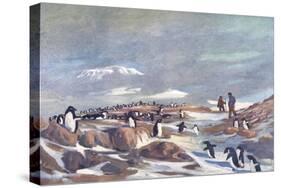 Return of the Penguins-G Marston-Stretched Canvas