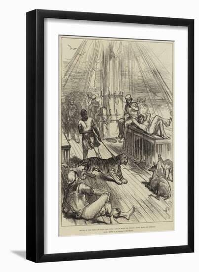 Return of the Prince of Wales from India, Life on Board the Serapis, Young Tiger and Cheetals-null-Framed Giclee Print